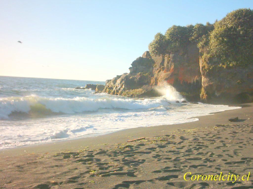 playa el ocho de coronel